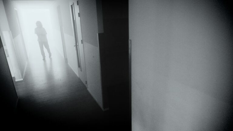 Still 2025-02-25 163405_1.19.1